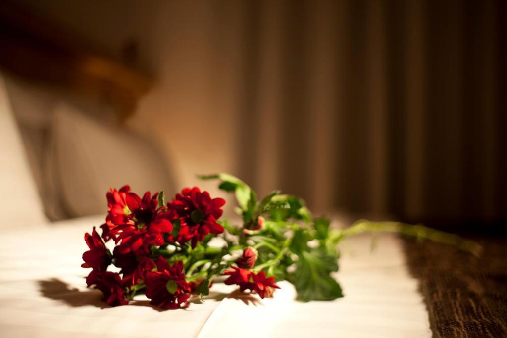 Dahlia Inn Прага Стая снимка